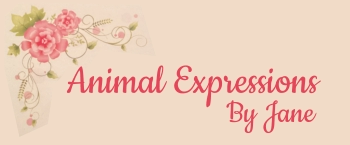 Animal Expressions By Jane